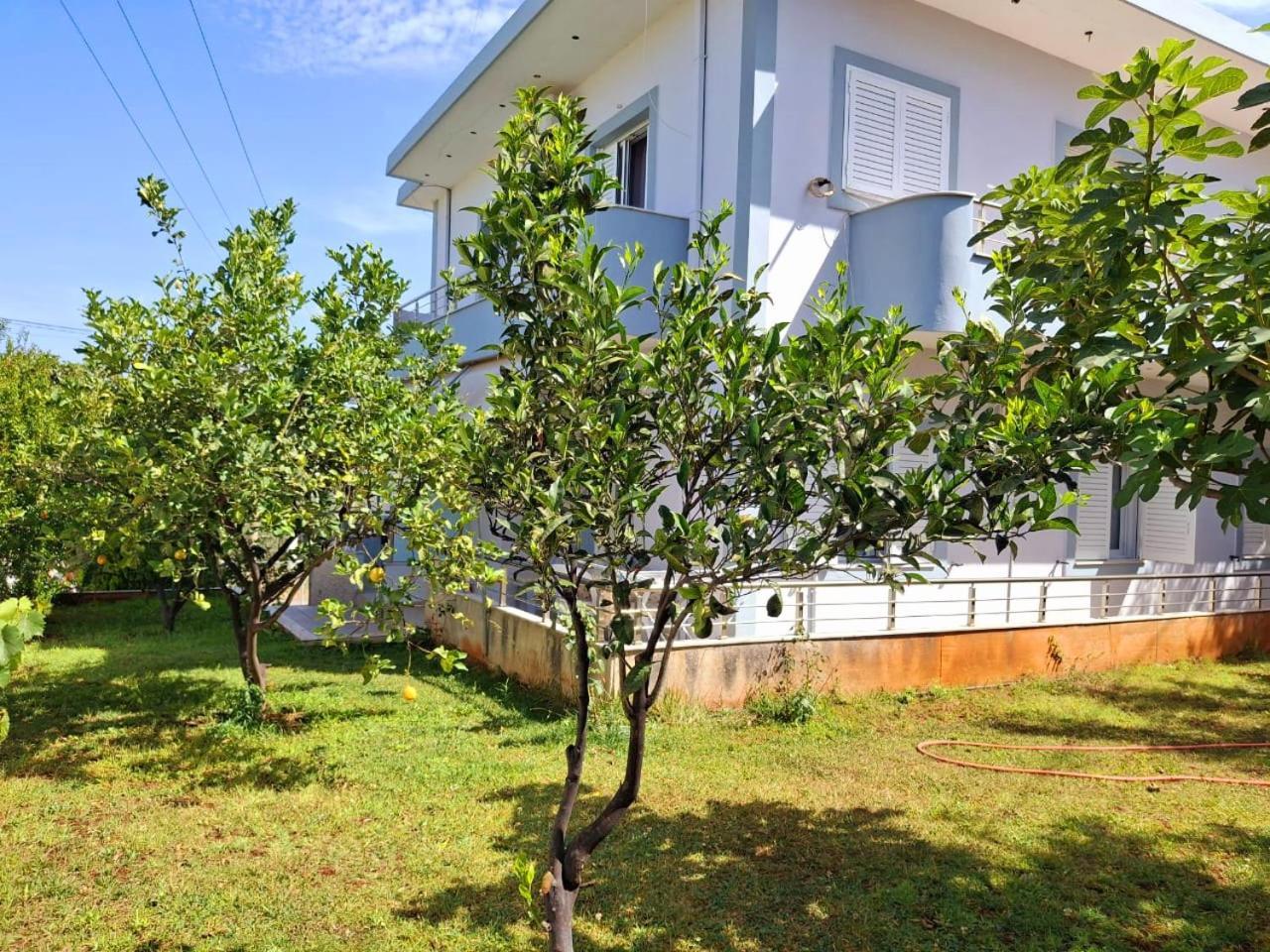 Myksamil Apartments Szoba fotó